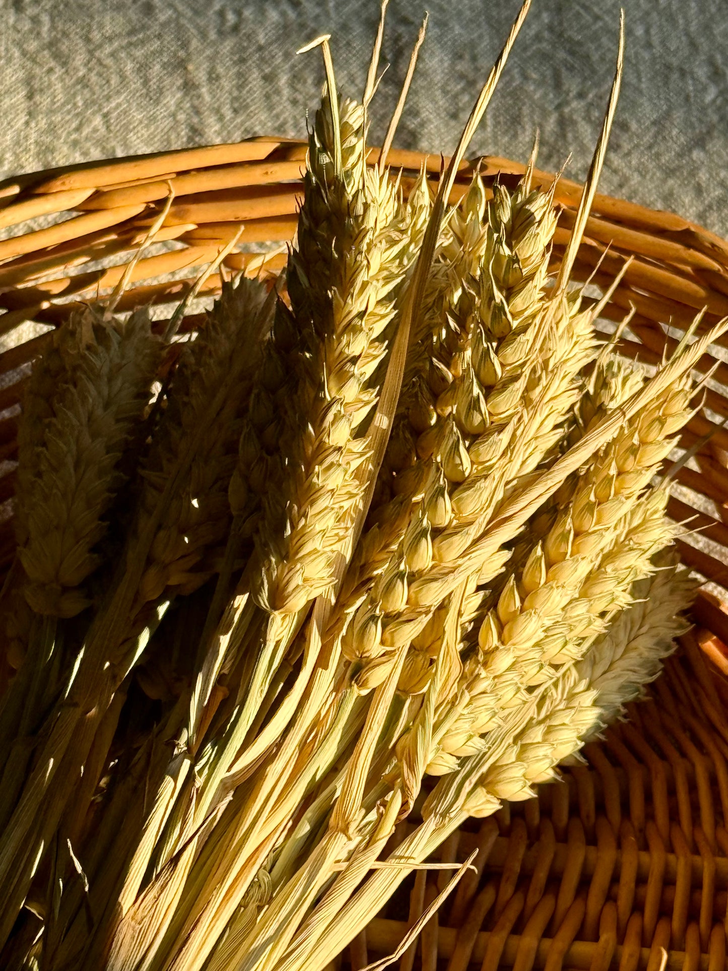 Dried Wheat bouquet.