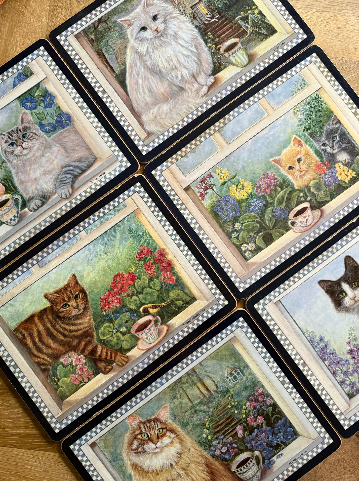 Adorable 6 cat placemats.