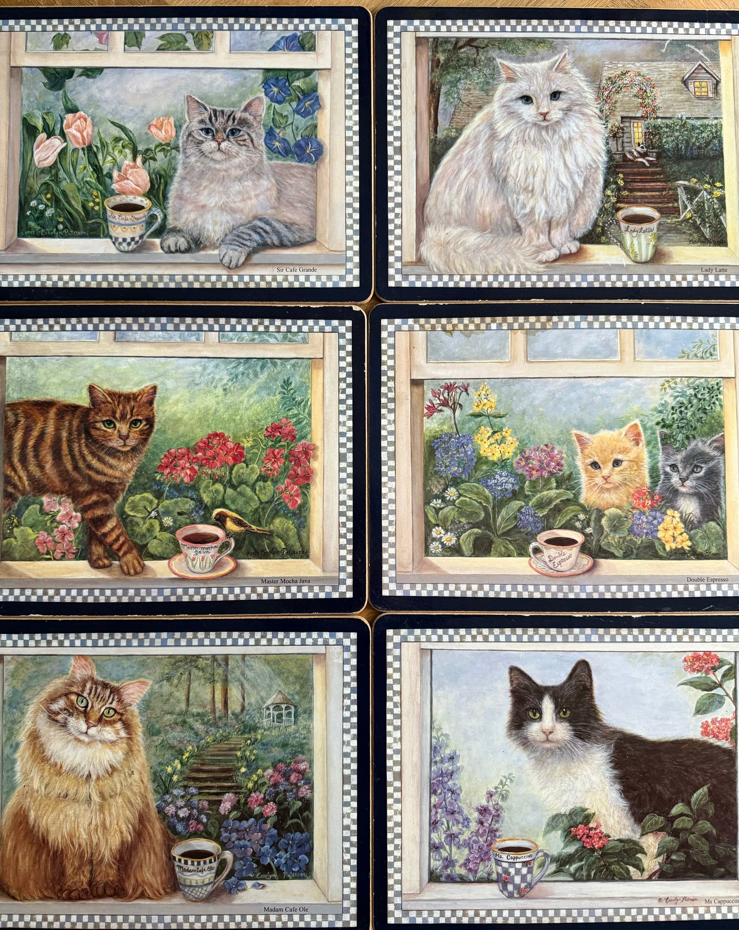 Adorable 6 cat placemats.