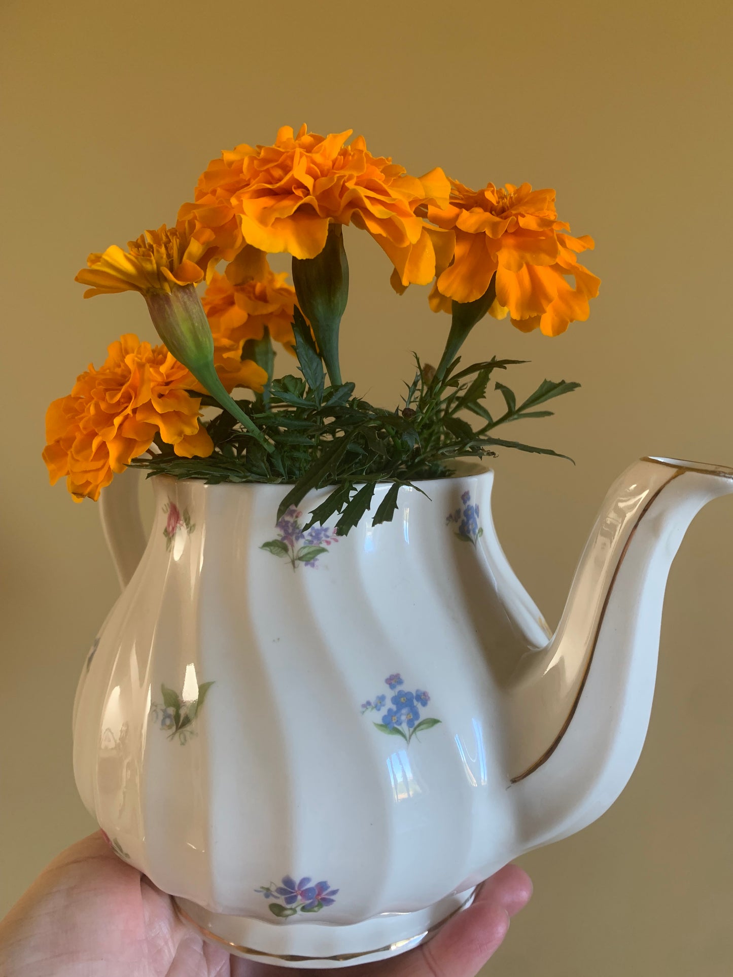 Vintage, floral SADLER teapot.