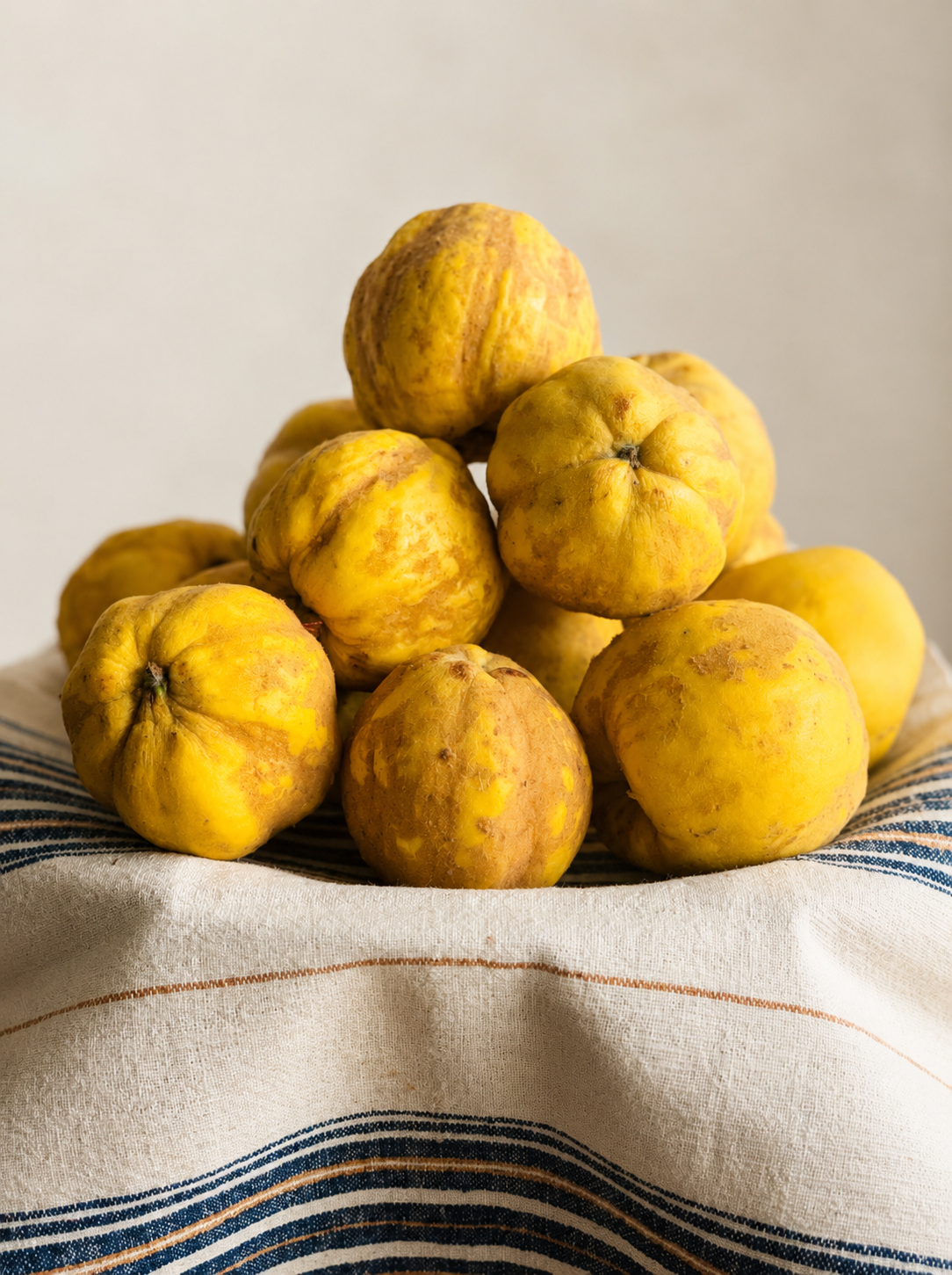 The Old Kitchen Cloth | No. 1 - Antique Handwoven Cotton