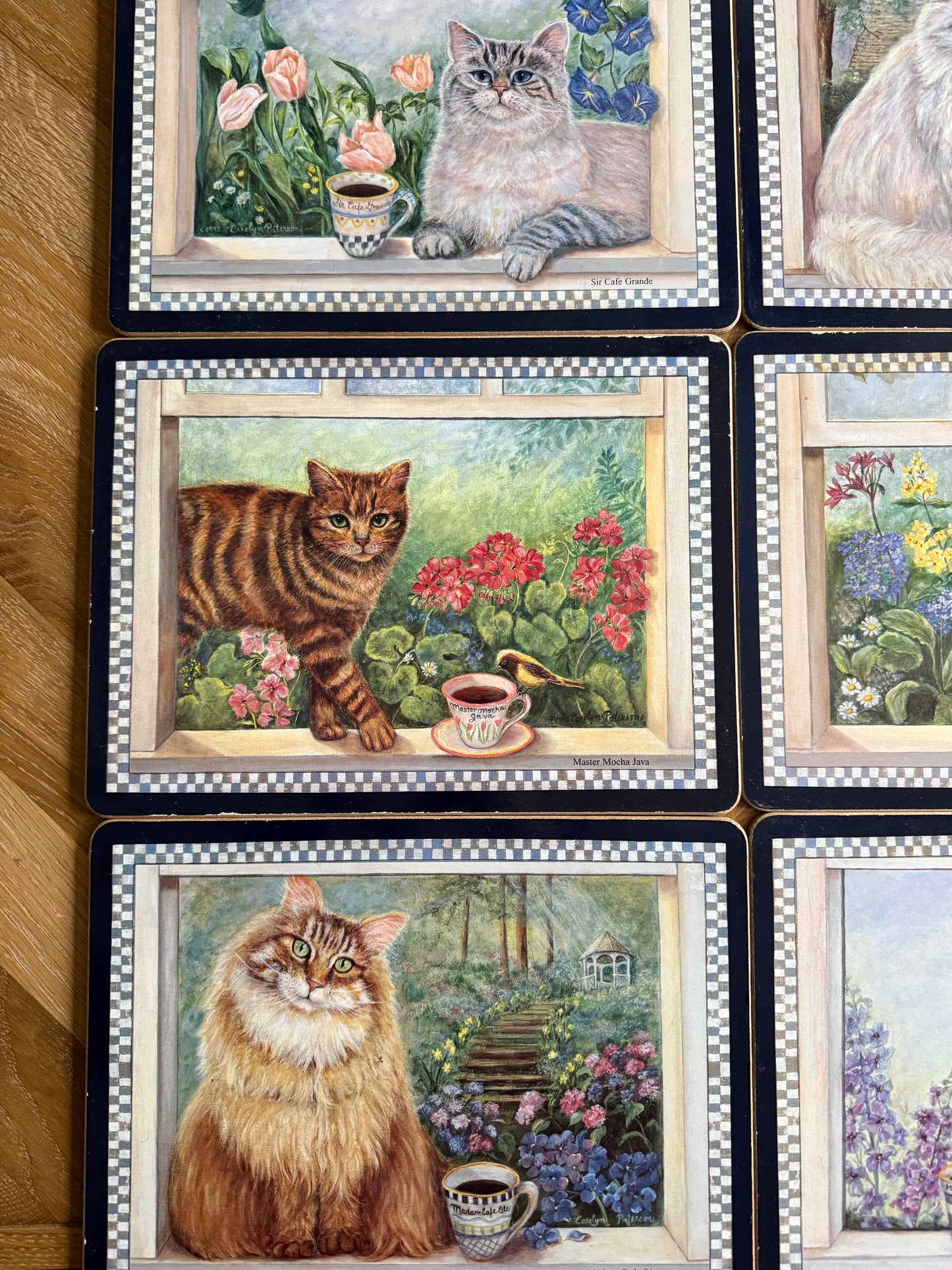 Adorable 6 cat placemats.