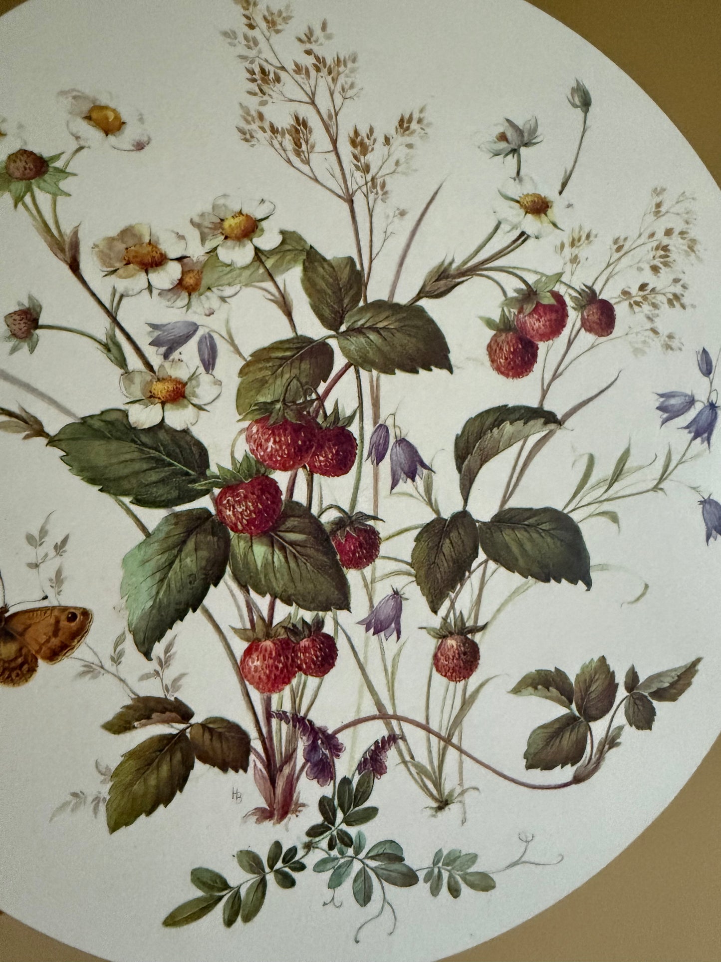 Vintage Pimpernel round placemats Immaculate.