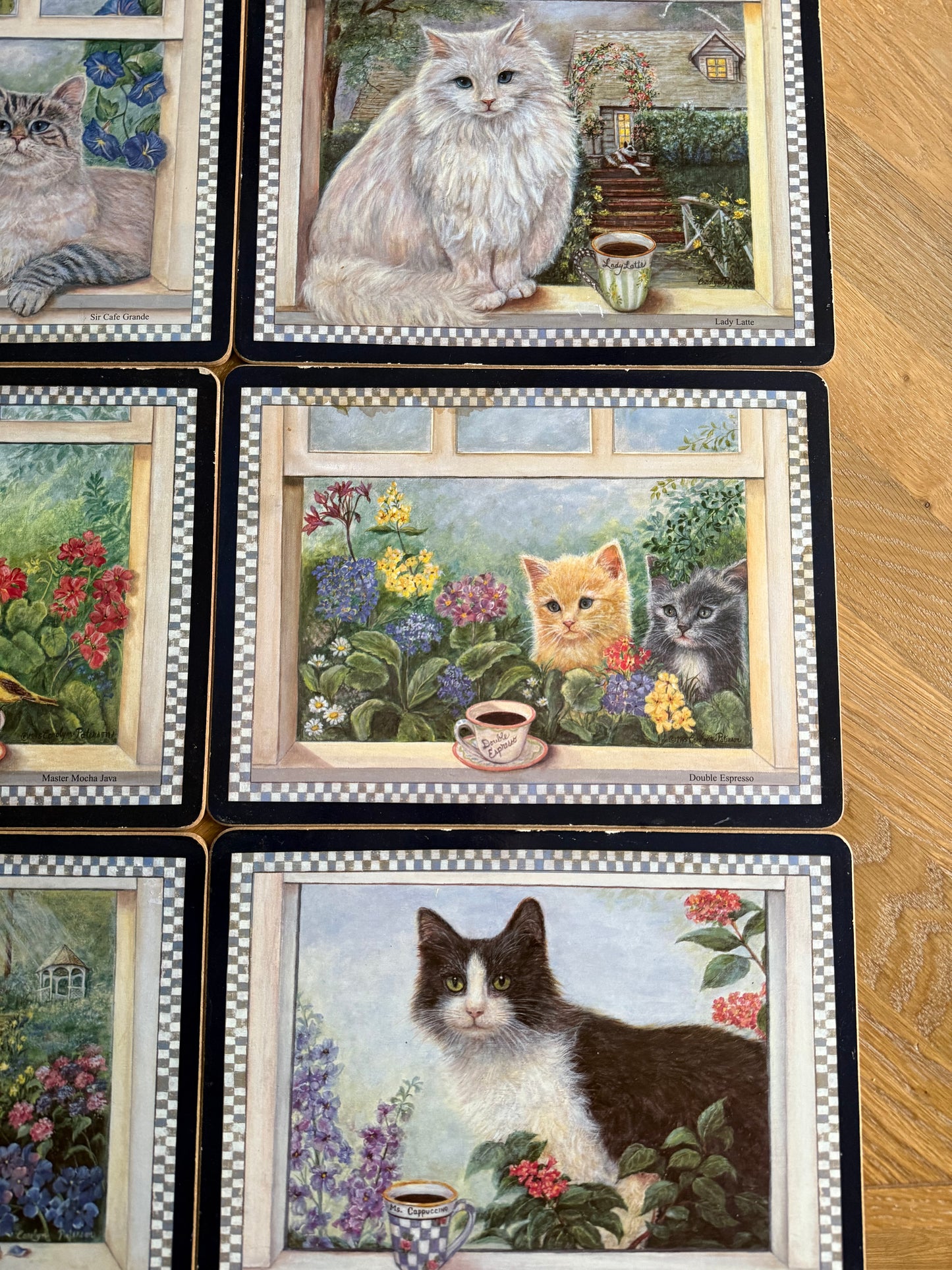 Adorable 6 cat placemats.