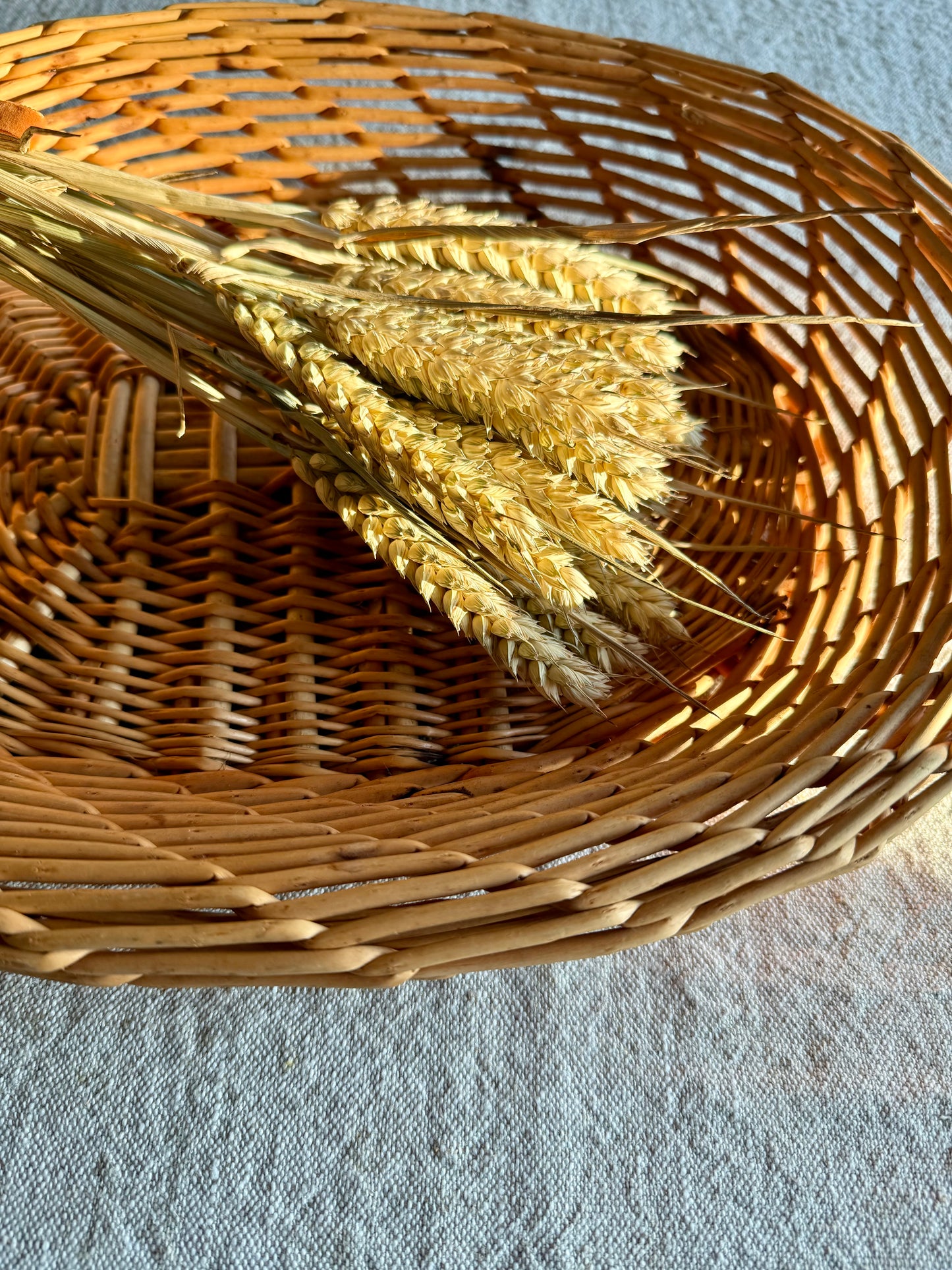 Dried Wheat bouquet.