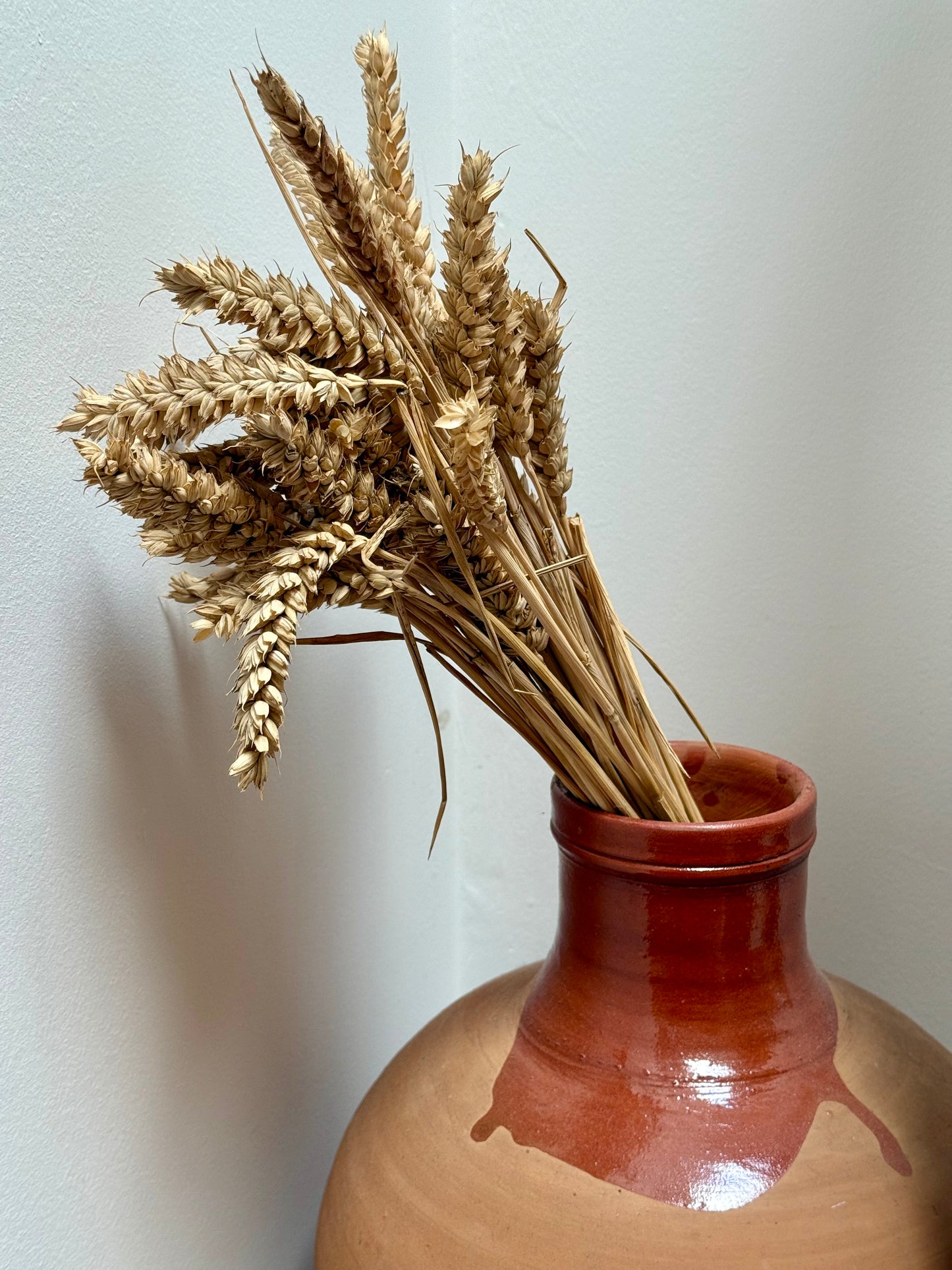 Natural Dried Wheat bunch