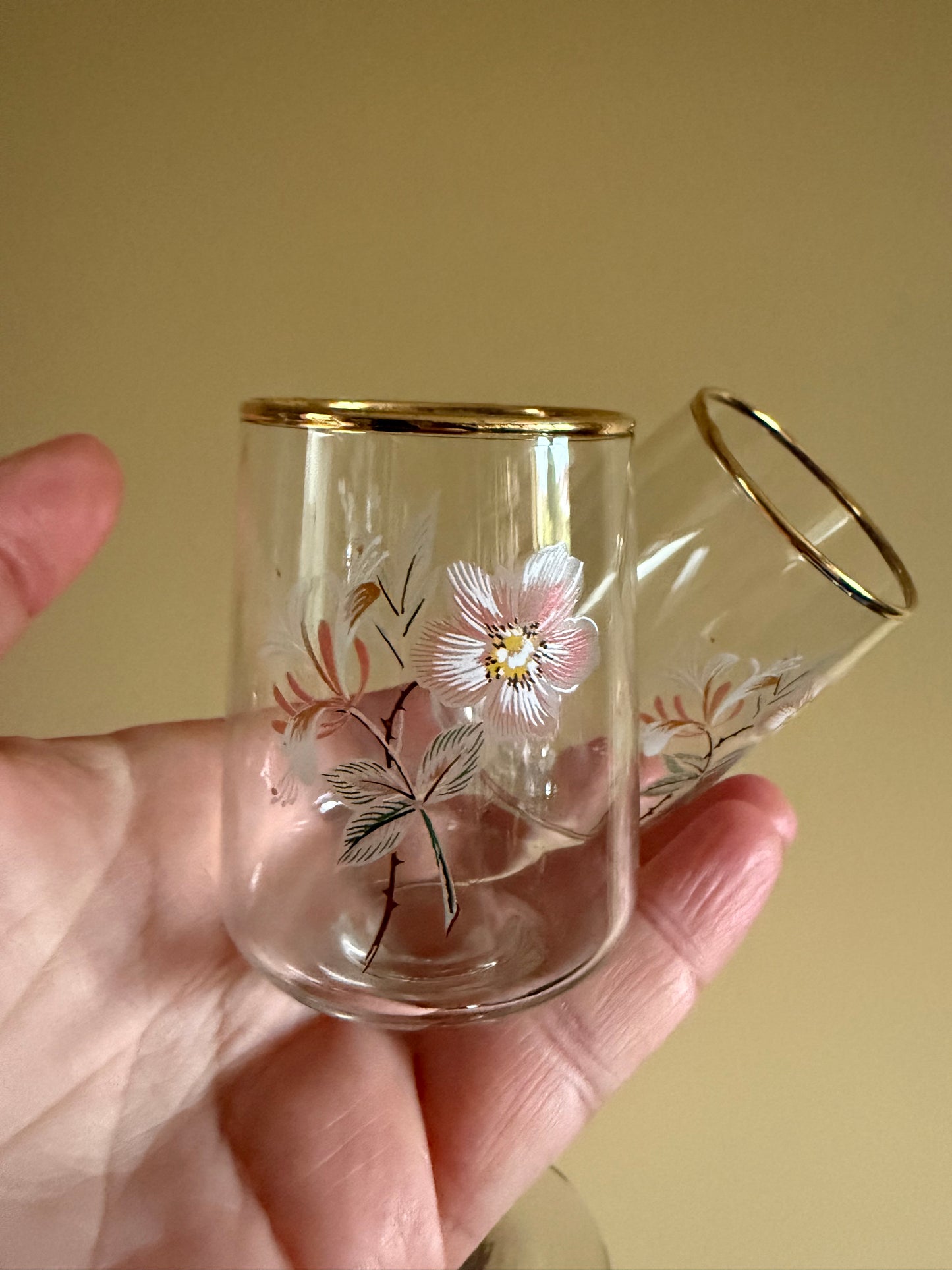 Vintage, sweet, hand painted glasses.
