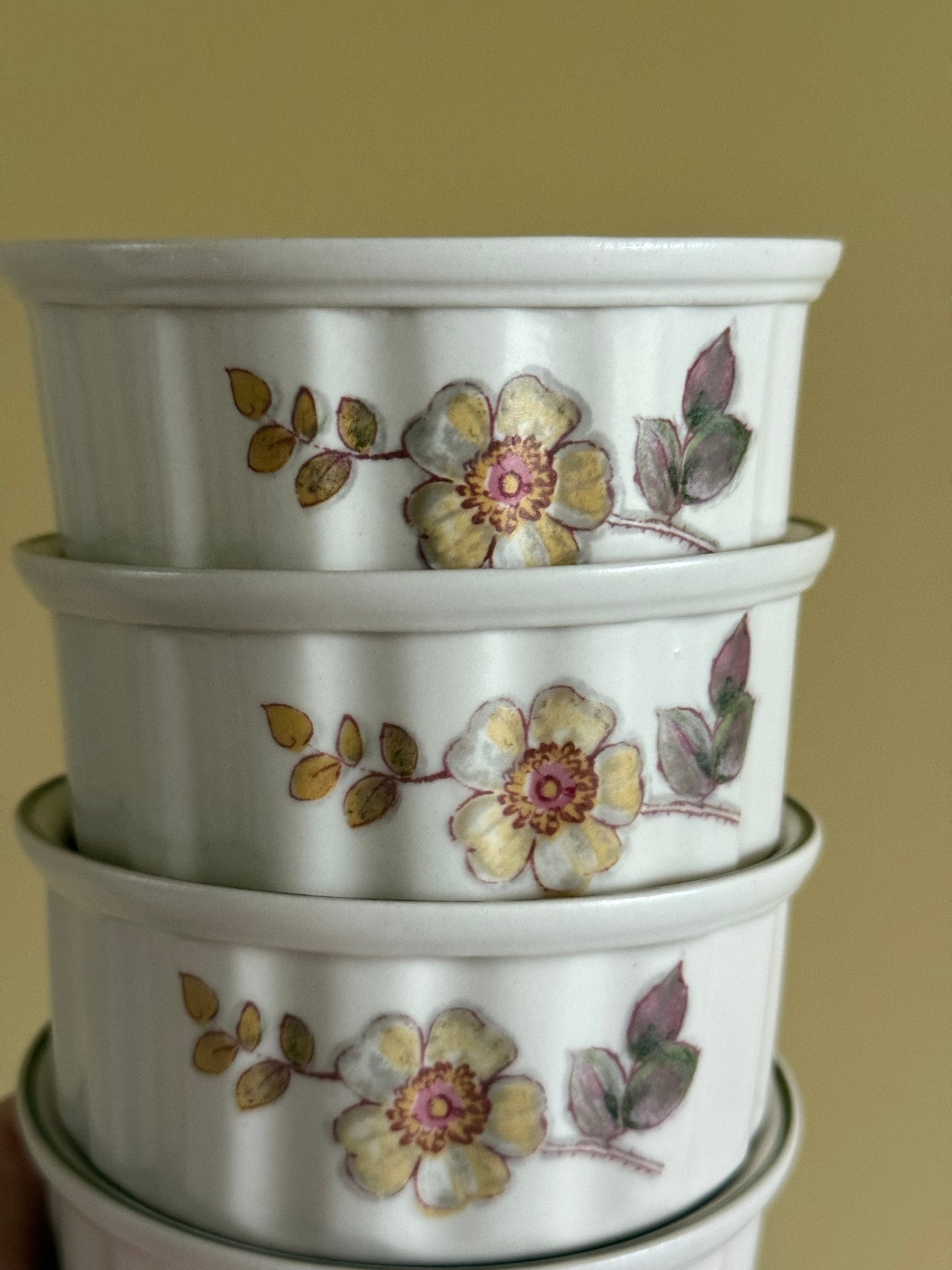 Autumn leaves set of 4 ramekins.