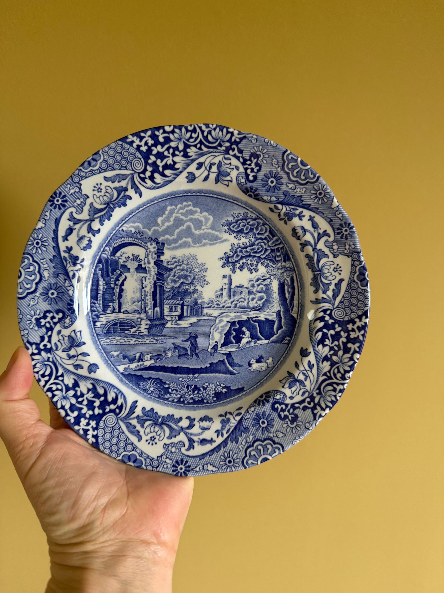 Vintage, SPODE Italian design England