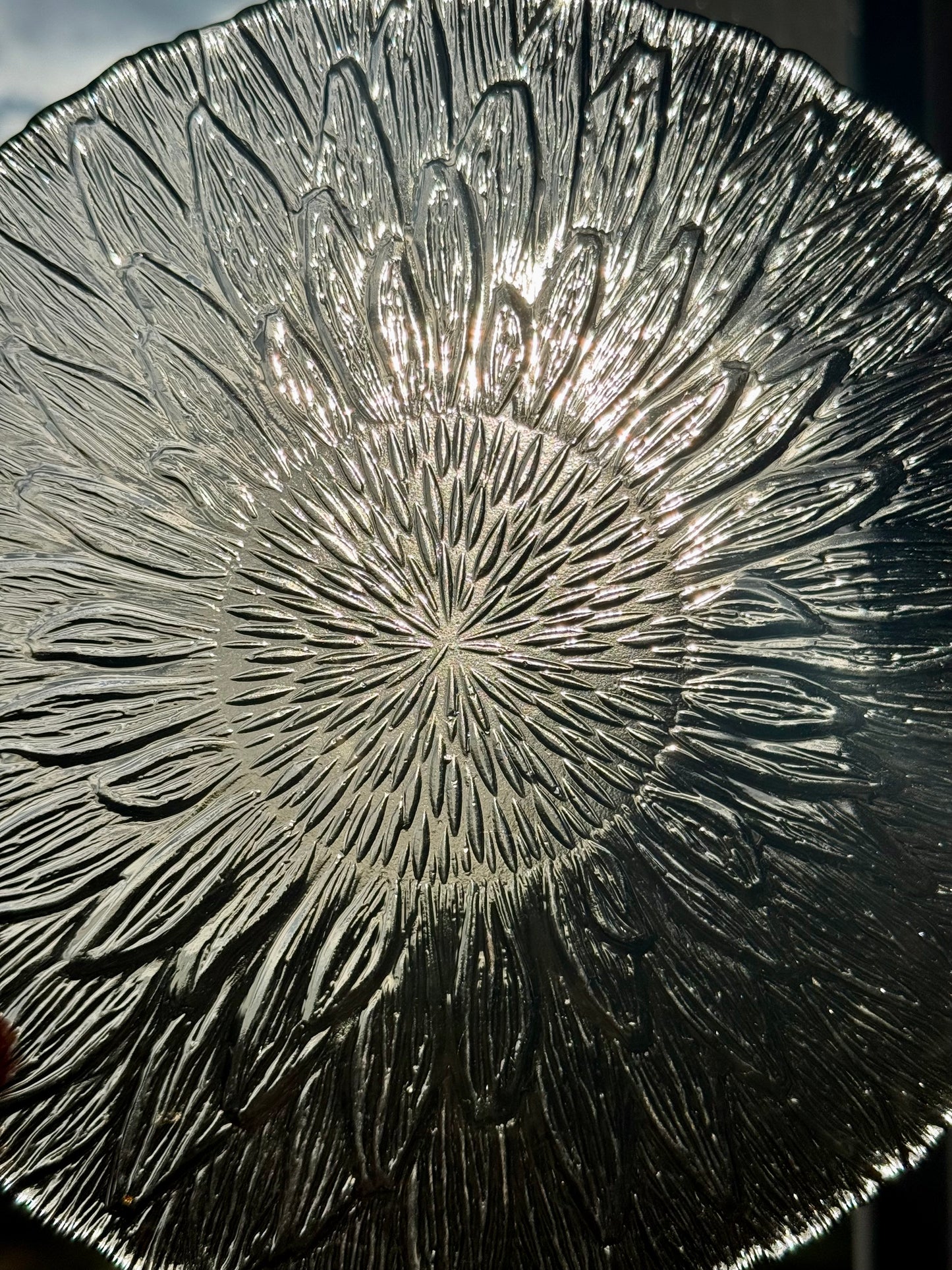 Vintage Arcopal Marguerite Smoked Glass Dessert Plates – Set of 6 with Box