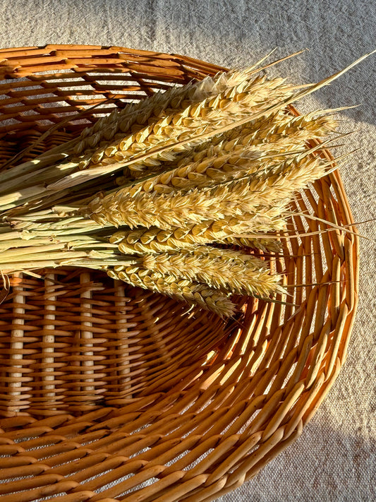 Dried Wheat bouquet.