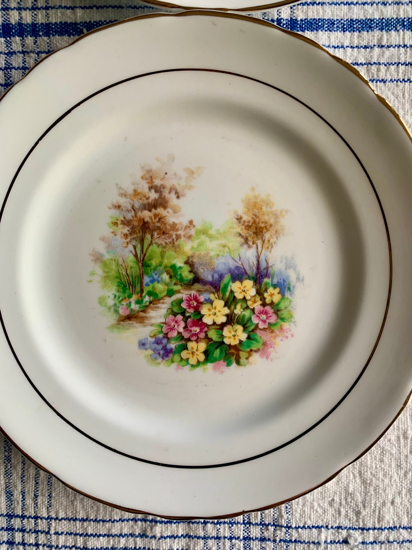 Vintage porcelain desert plates.