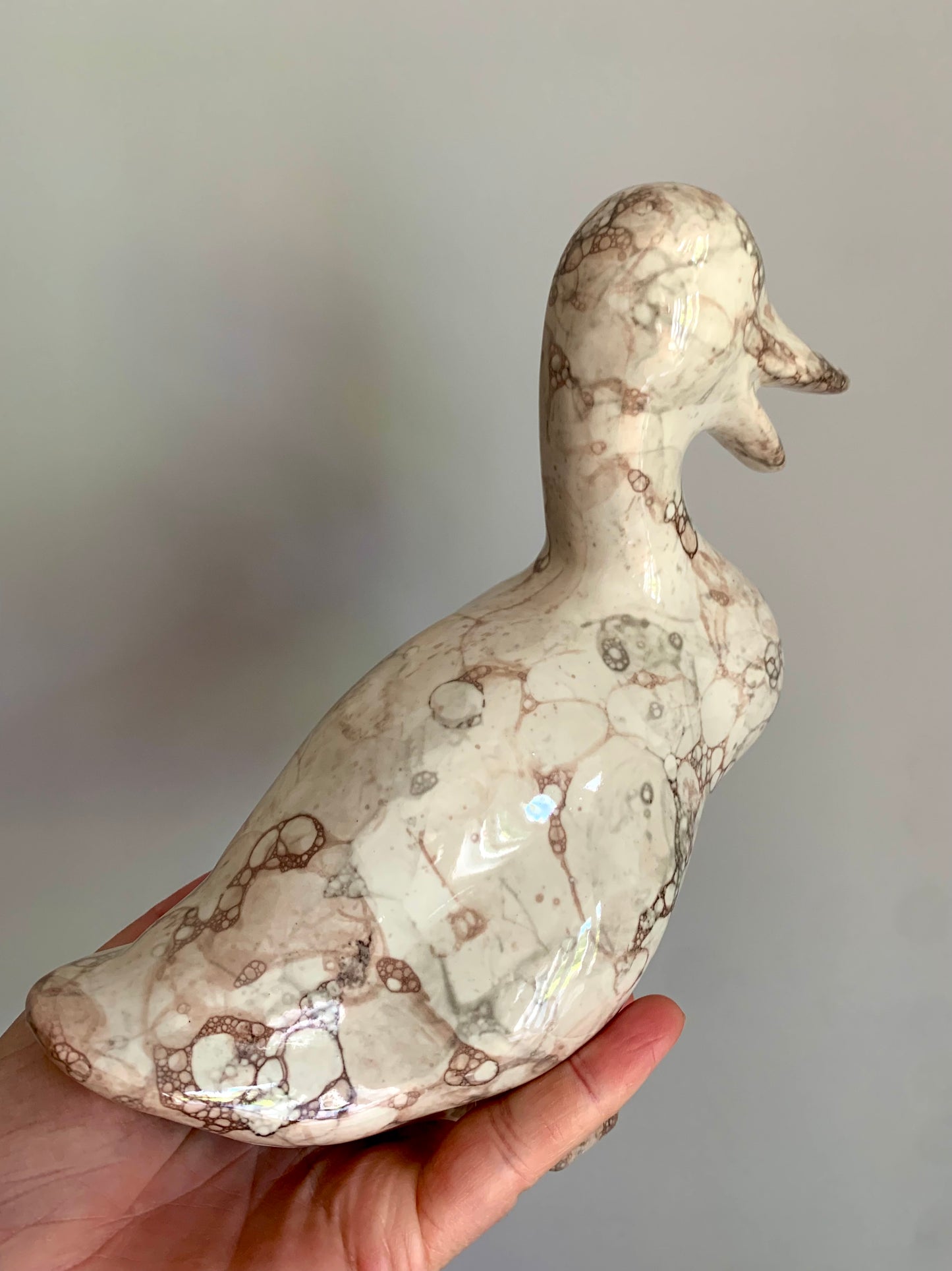 Adorable “Marble duck”