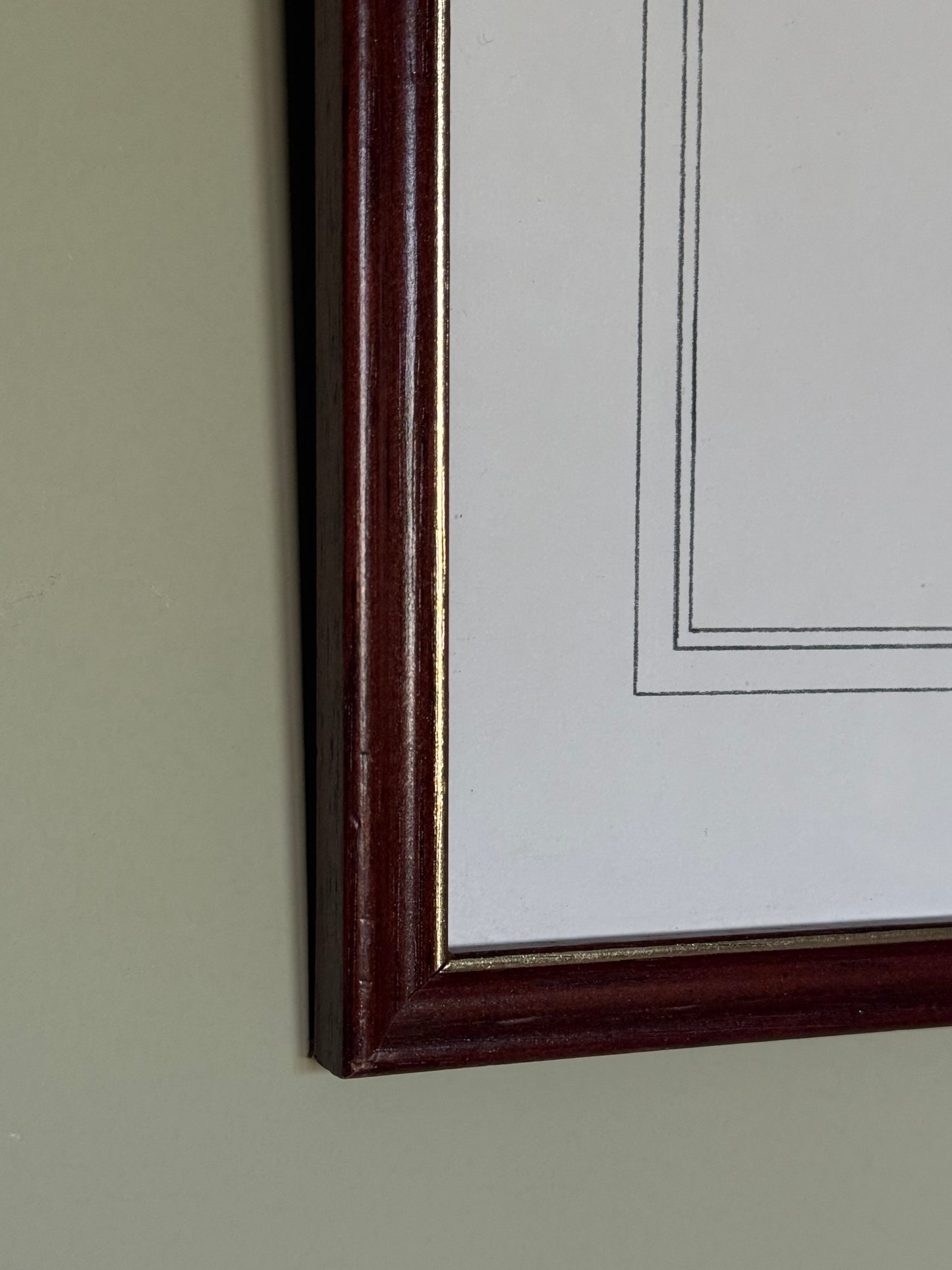 Framed pencil portrait of a poodle, signed C. Varey.