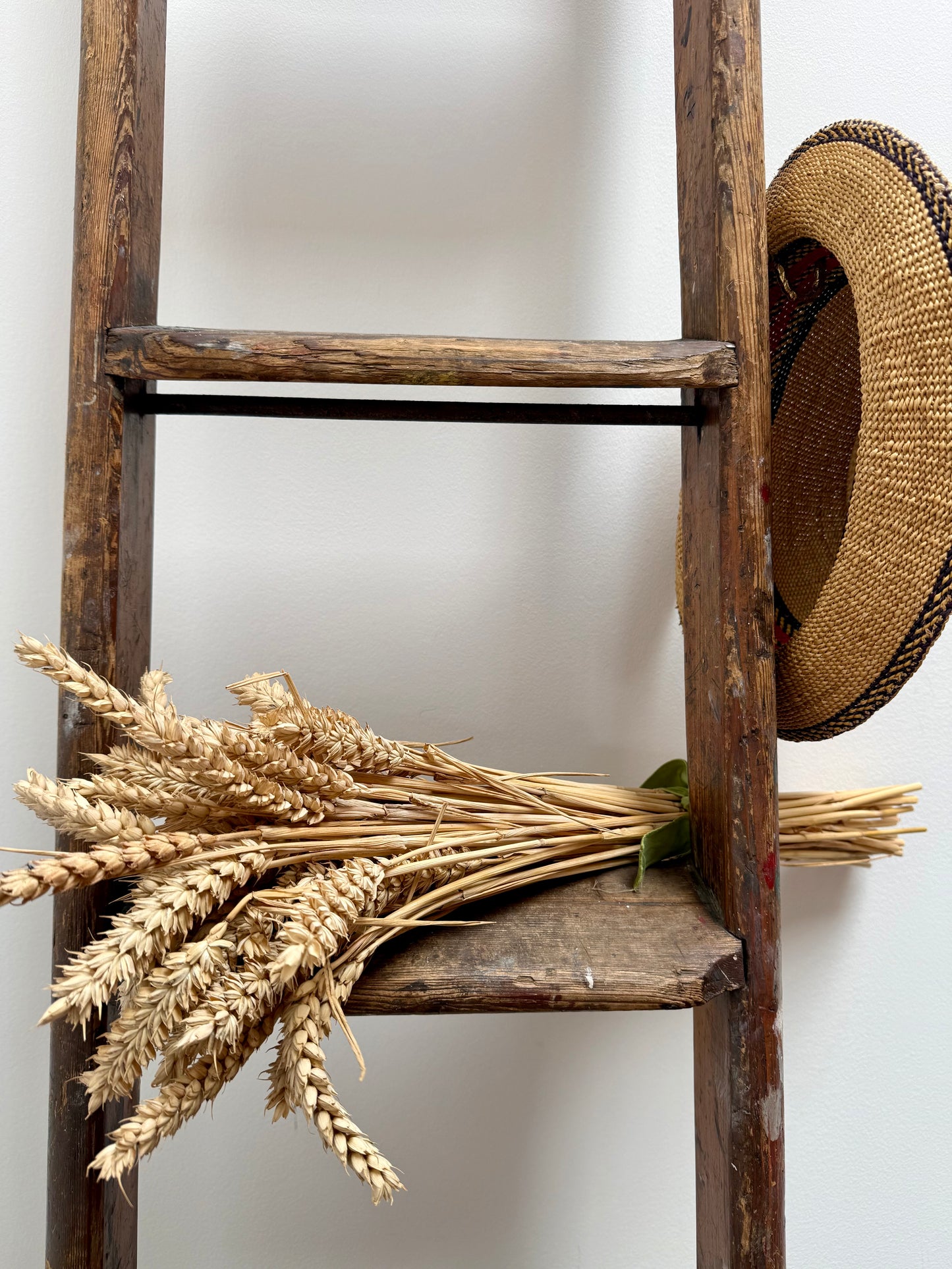 Natural Dried Wheat bunch