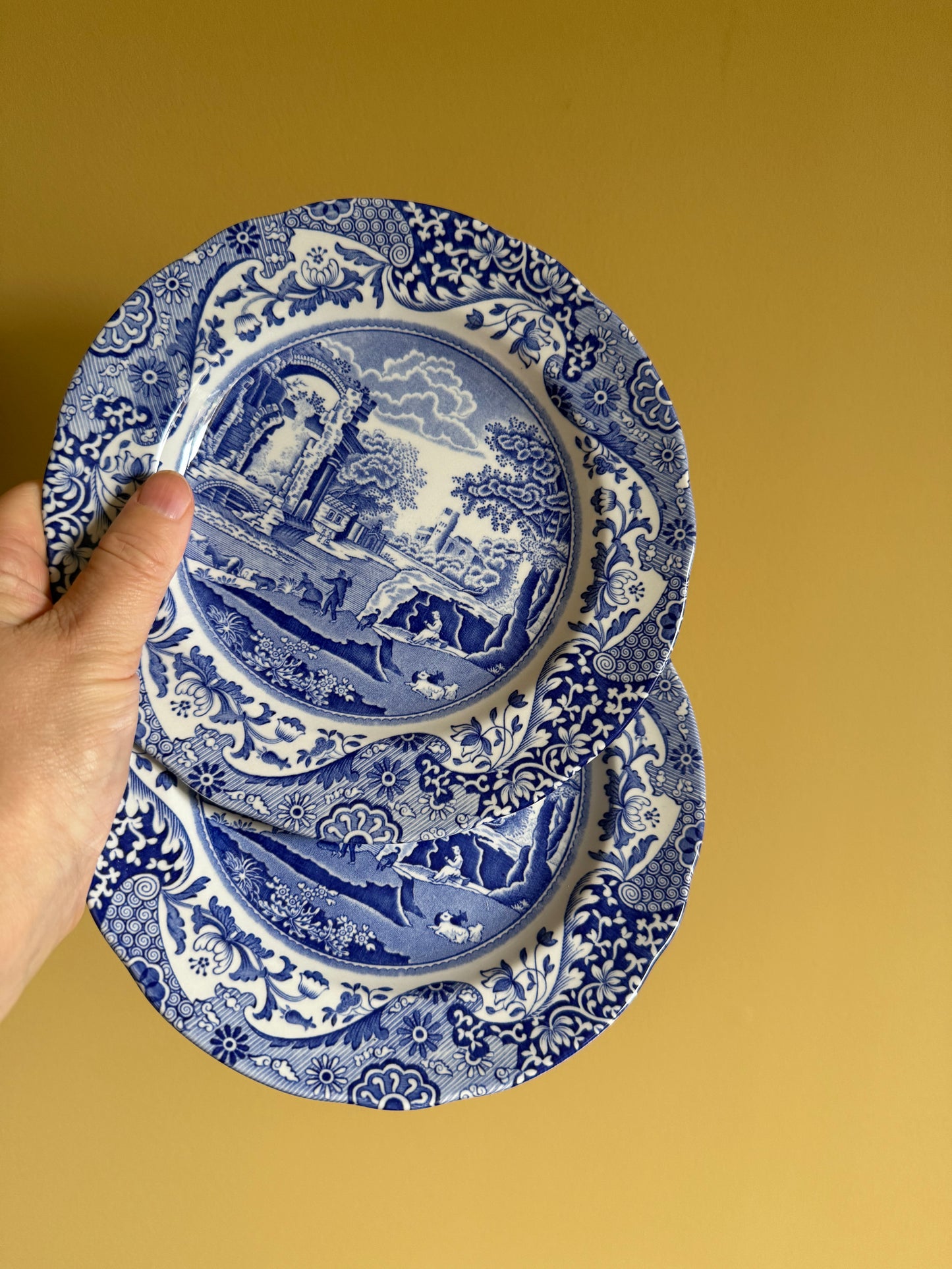 Vintage, SPODE Italian design England