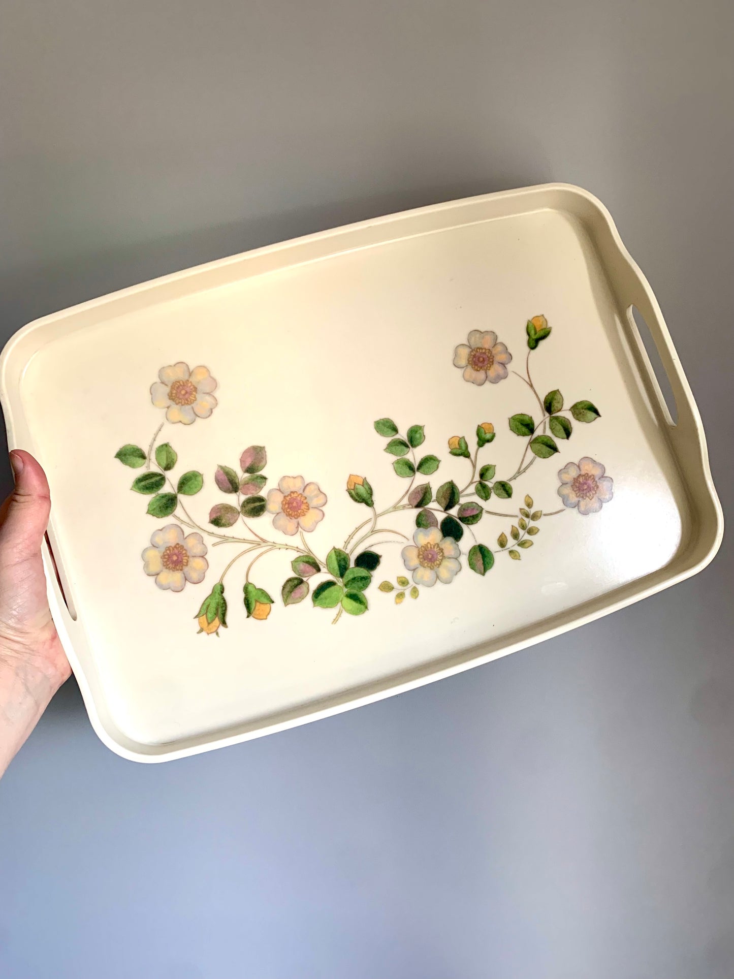 Vintage, heavy duty plastic tray.