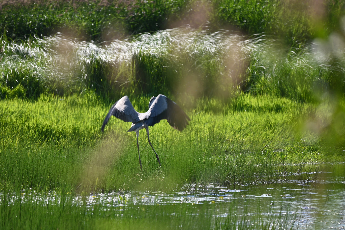 Spread your wings.