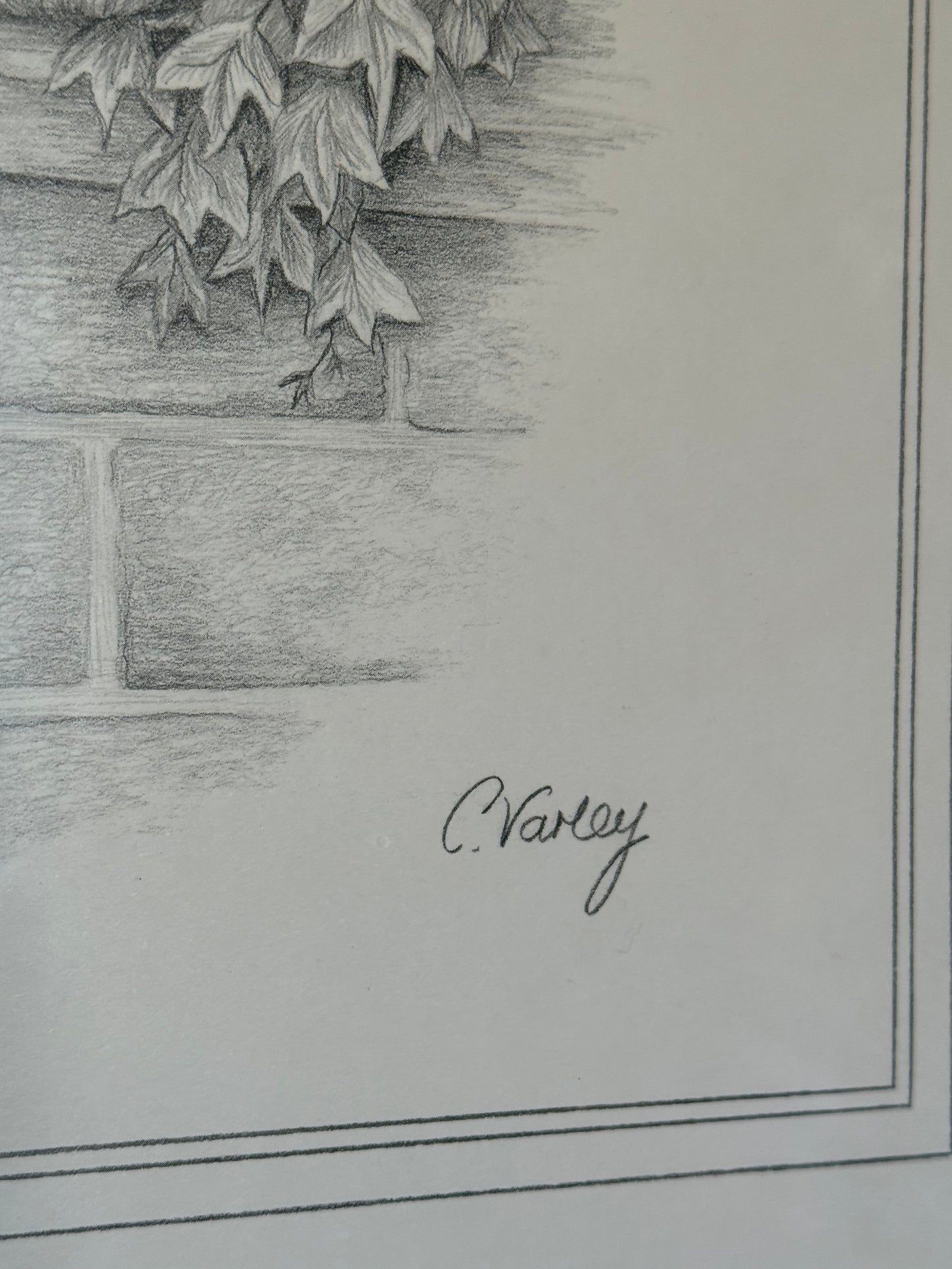 Framed pencil portrait of a poodle, signed C. Varey.