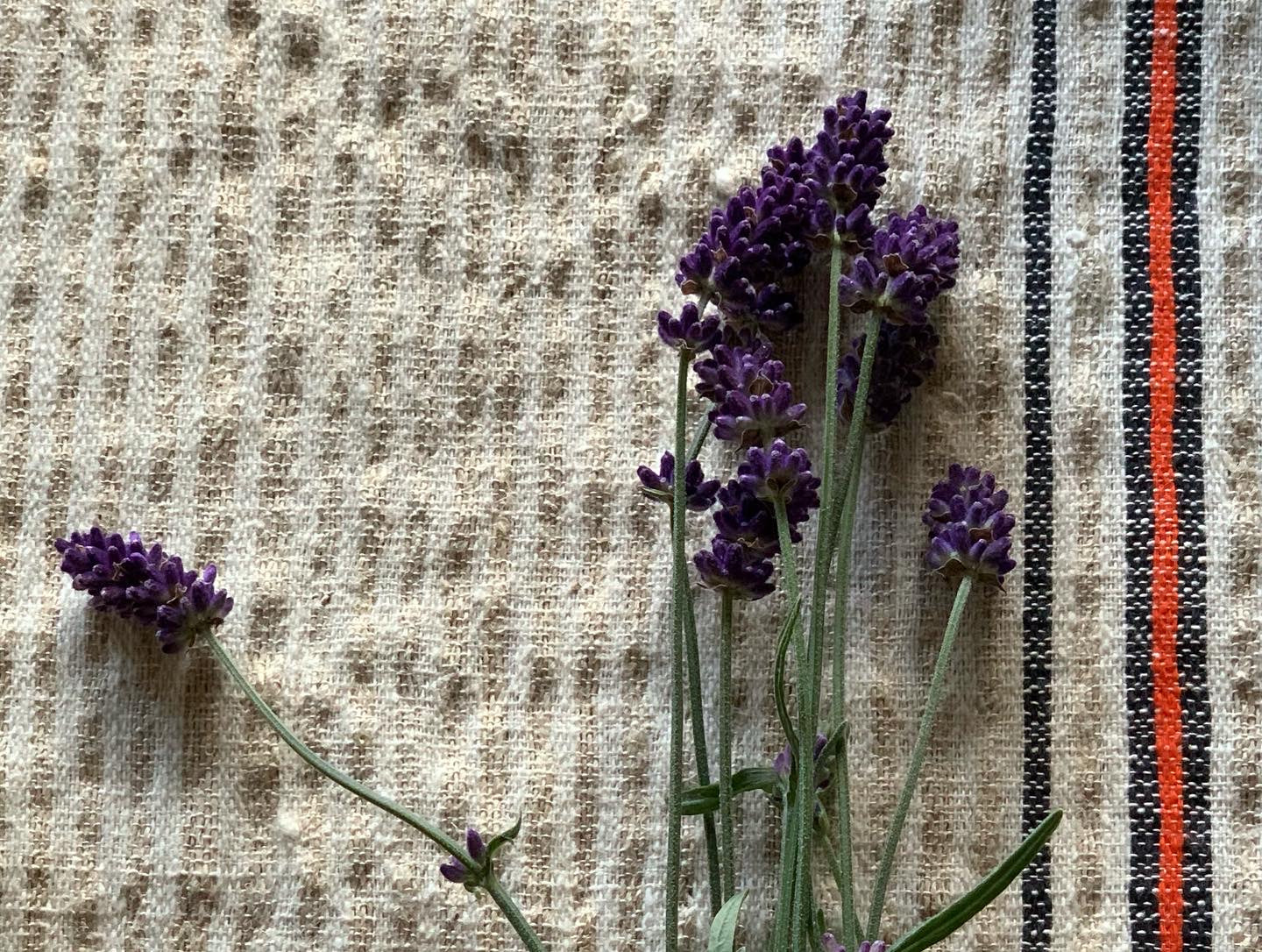 Set of four antique, handwoven place mats.